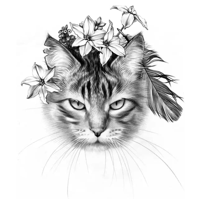 janesart